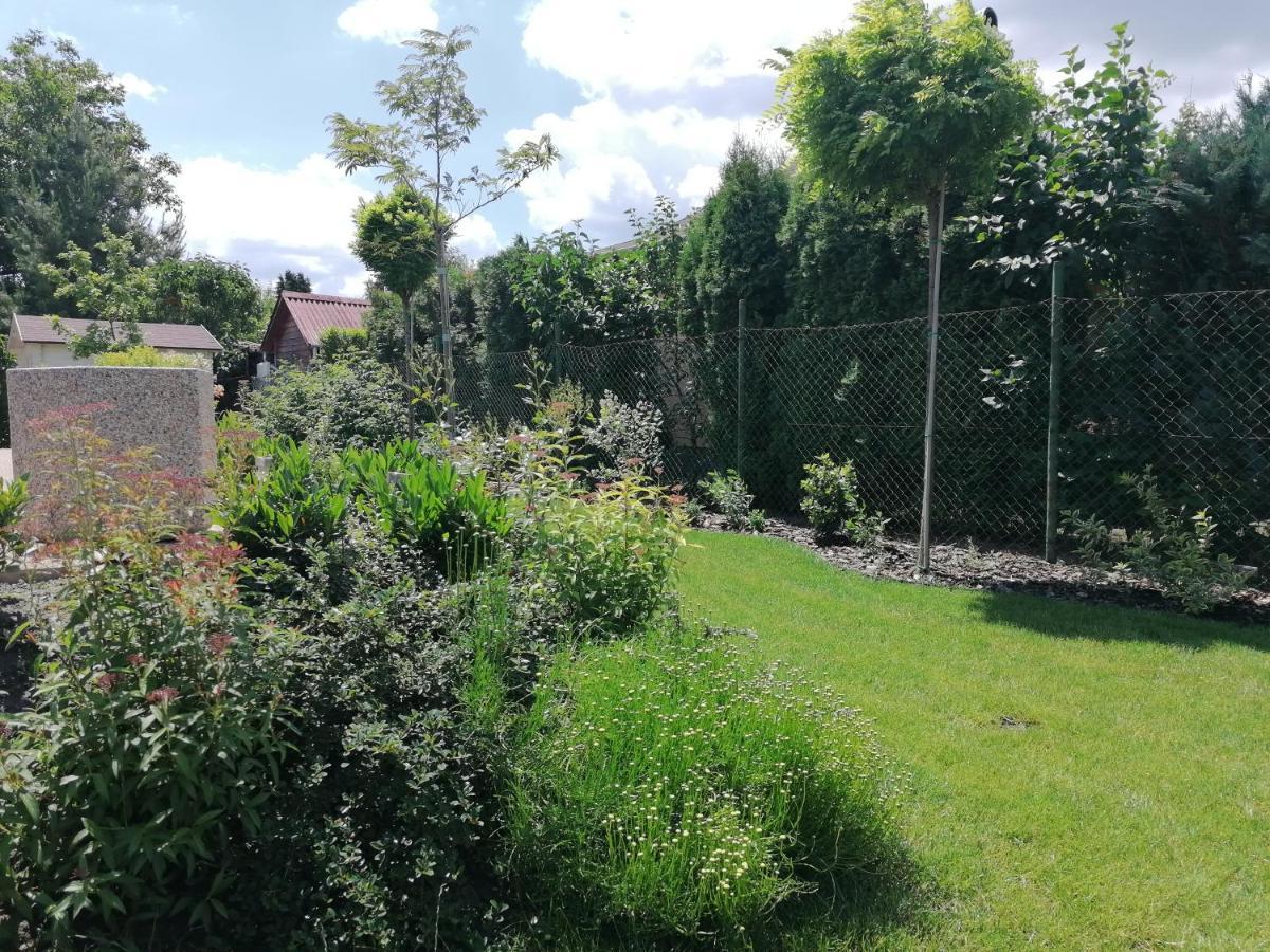 Levelke Mini Apartman Gárdony Dış mekan fotoğraf