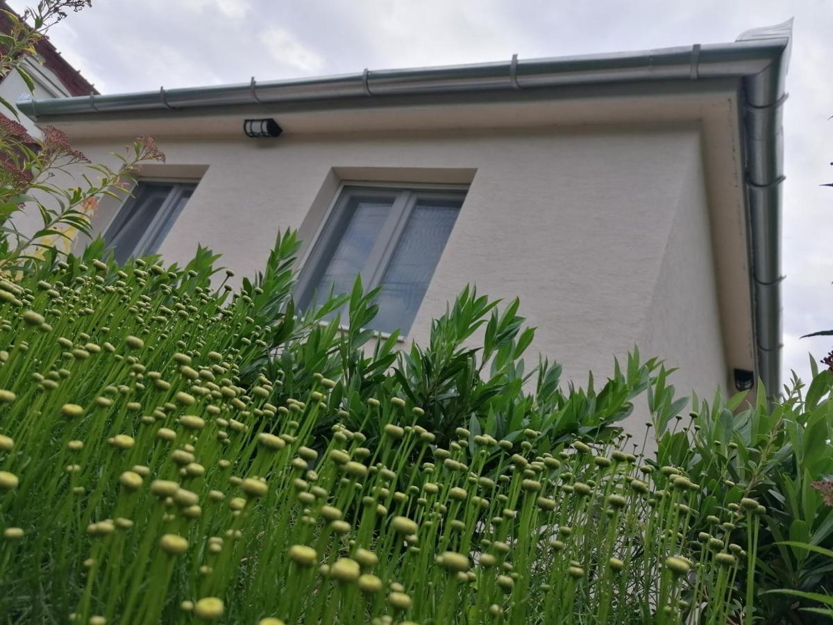 Levelke Mini Apartman Gárdony Dış mekan fotoğraf