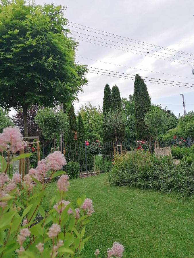 Levelke Mini Apartman Gárdony Dış mekan fotoğraf